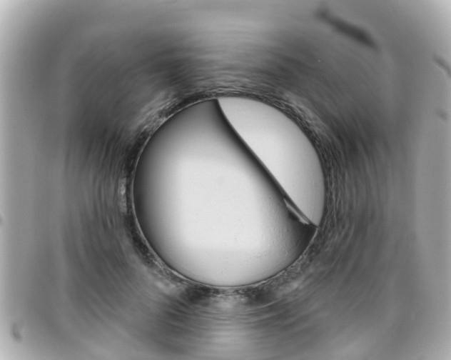X0000096450696200801241140