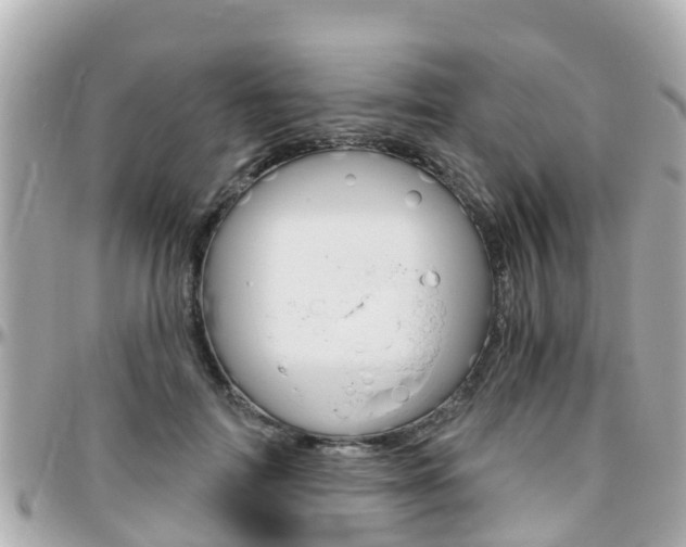 X0000096450698200801241140