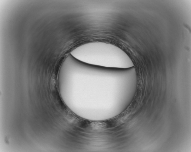 X0000096450707200801241140