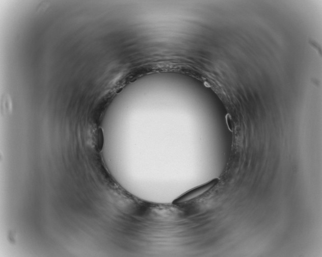 X0000096450712200801241140