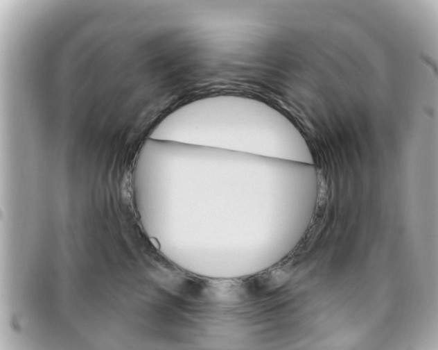 X0000096450713200801241140
