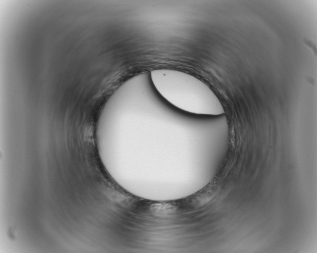 X0000096450714200801241140