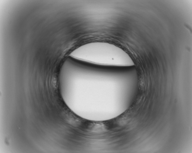 X0000096450715200801241140