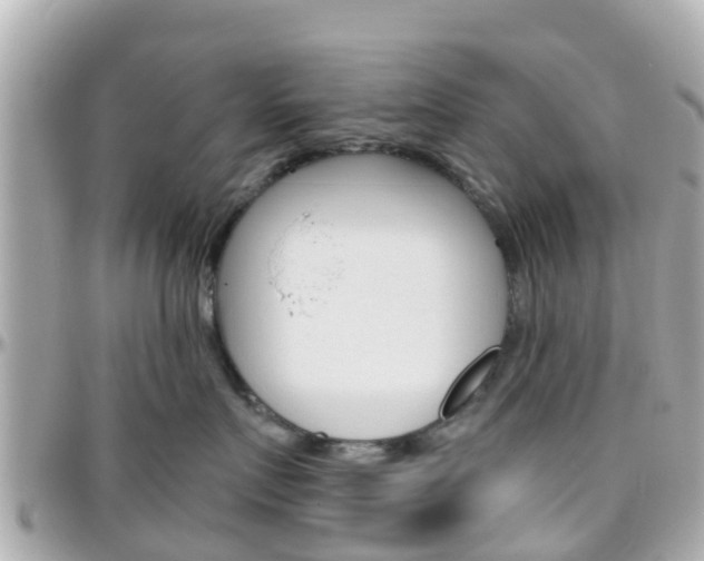 X0000096450719200801241140