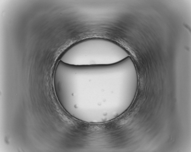 X0000096450721200801241139