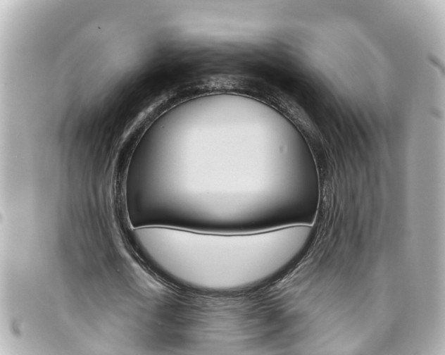 X0000096450722200801241139