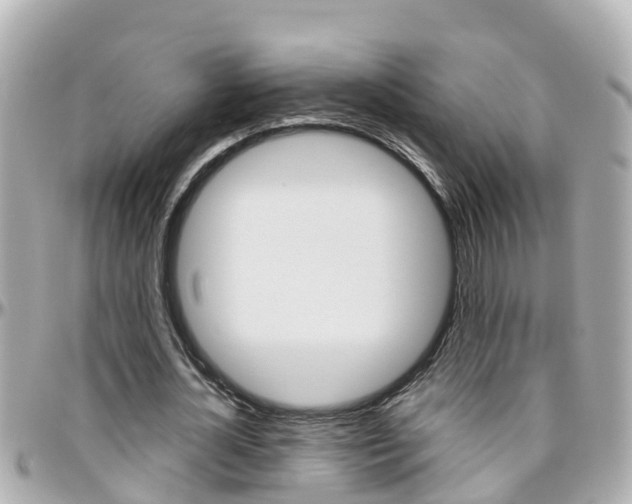 X0000096450724200801241139