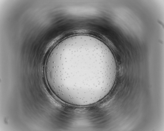 X0000096450725200801241139