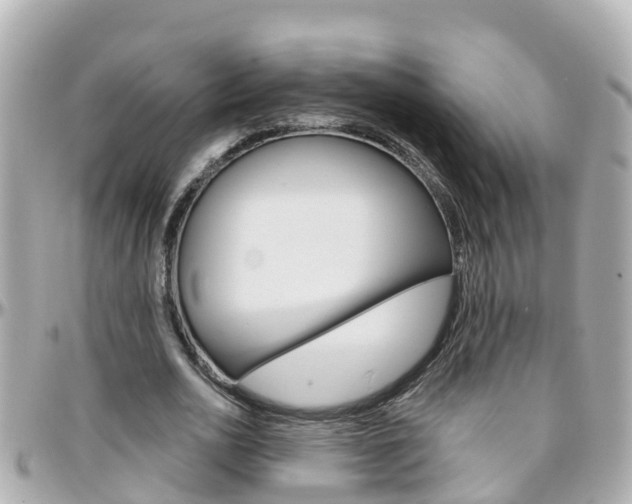 X0000096450726200801241139