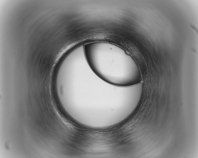 X0000096450728200801241139