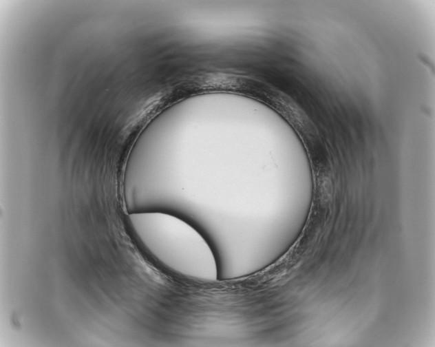 X0000096450729200801241139
