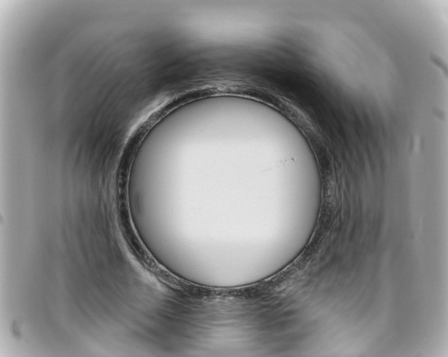 X0000096450730200801241139