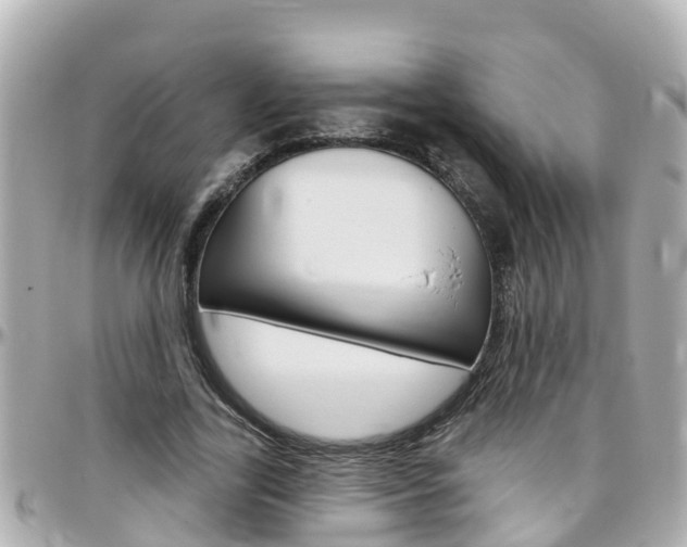 X0000096450731200801241139
