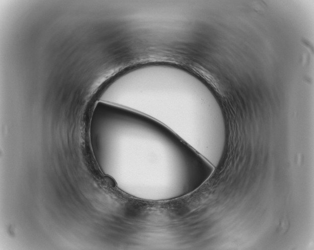 X0000096450732200801241139