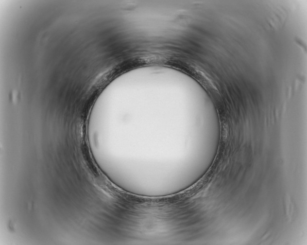 X0000096450733200801241139