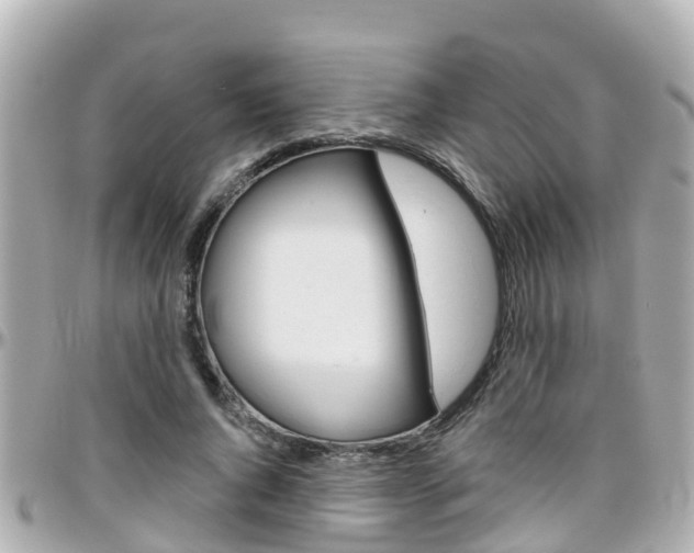 X0000096450736200801241139