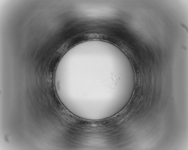 X0000096450737200801241139