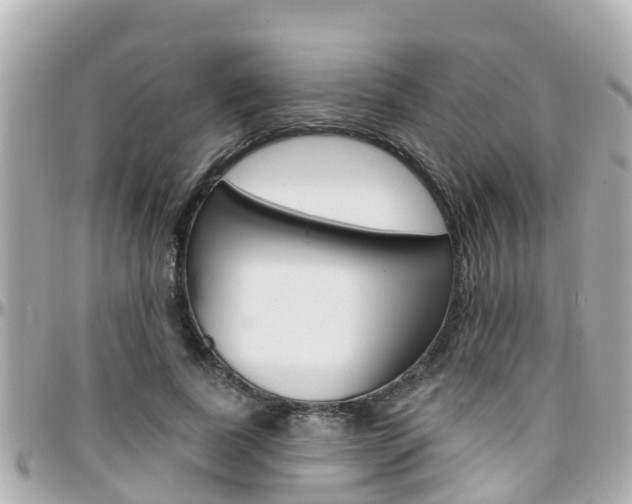 X0000096450739200801241140