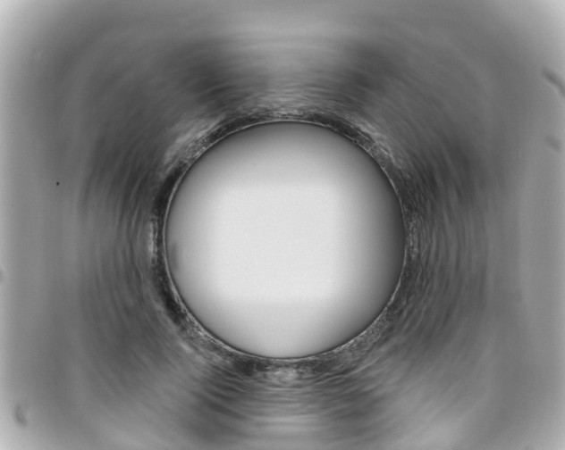 X0000096450740200801241140