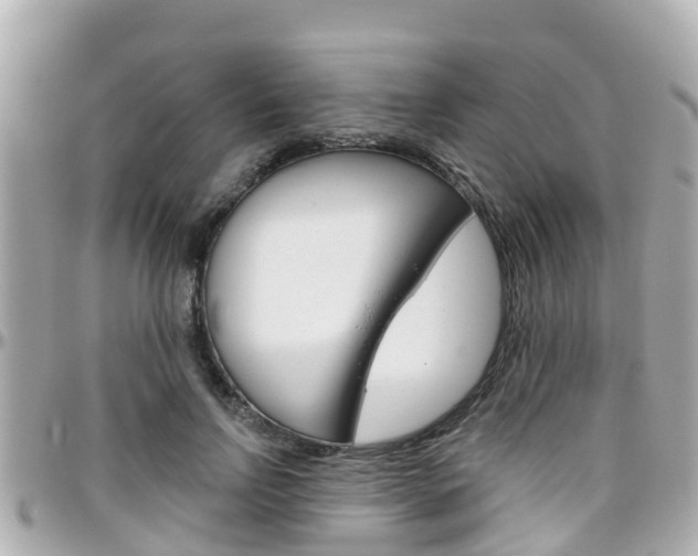 X0000096450742200801241140