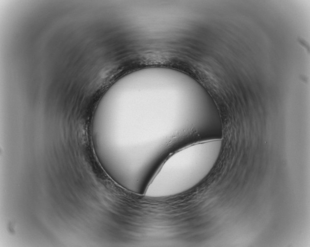 X0000096450743200801241140
