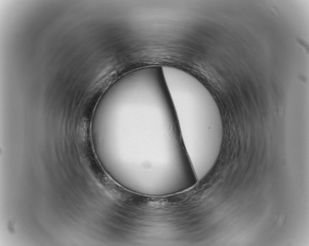 X0000096450744200801241140