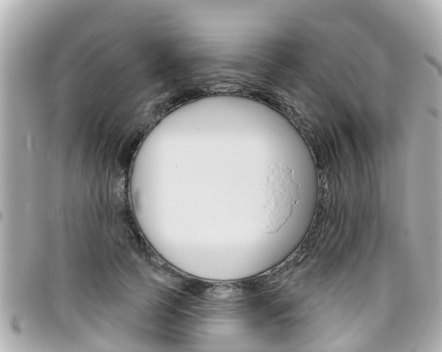 X0000096450745200801241140
