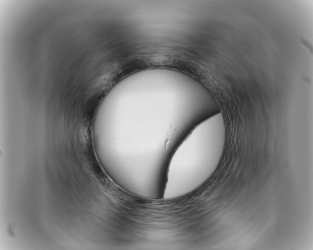 X0000096450746200801241140