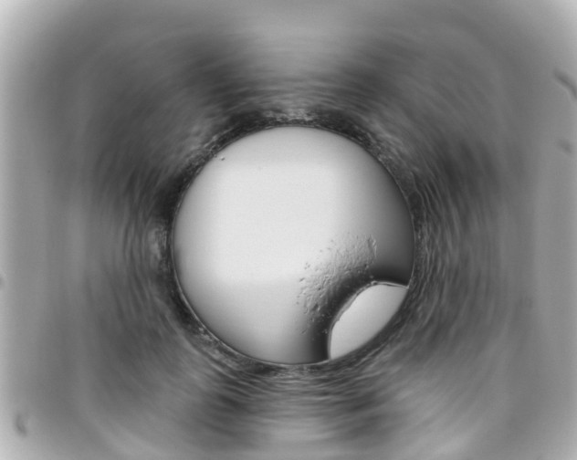 X0000096450747200801241140