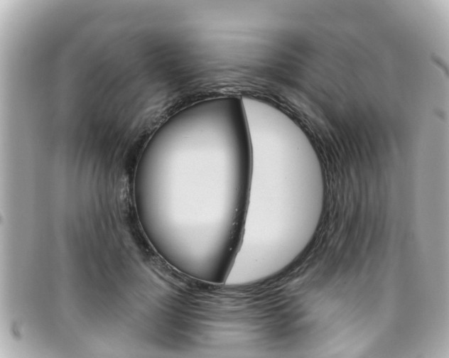 X0000096450748200801241140