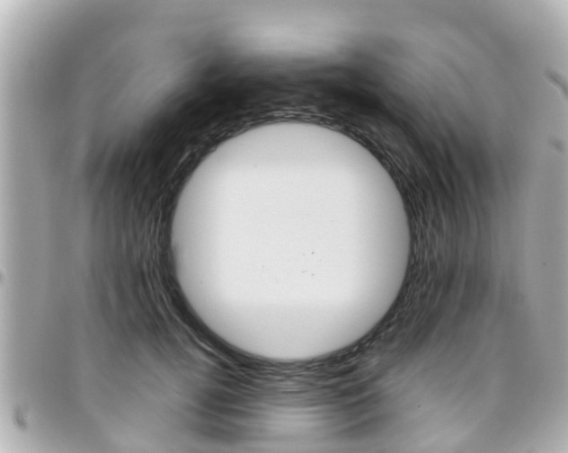 X0000096450752200801241140