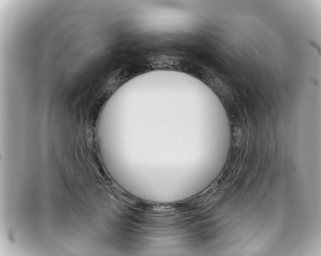 X0000096450753200801241140
