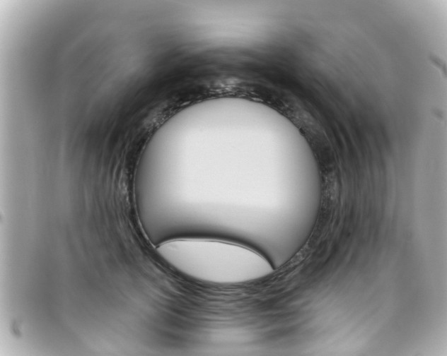 X0000096450754200801241140