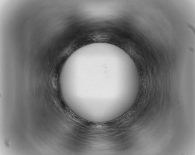 X0000096450755200801241140