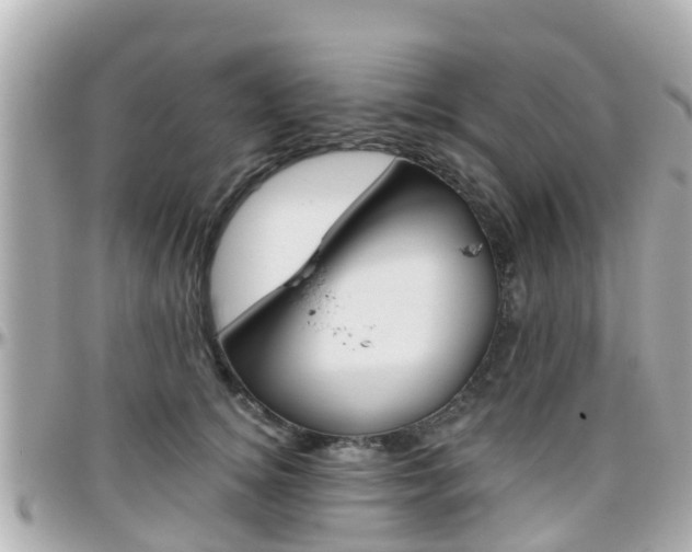 X0000096450756200801241140