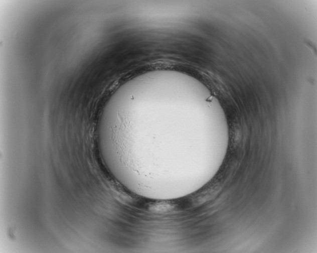 X0000096450759200801241140