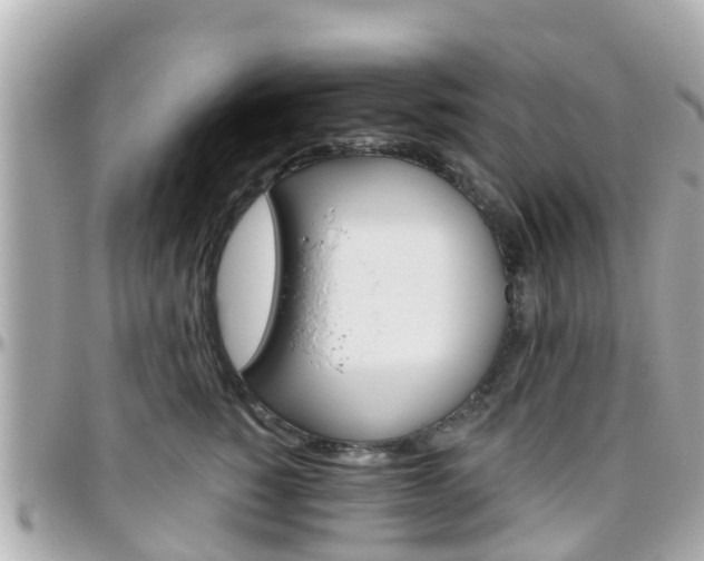 X0000096450760200801241140