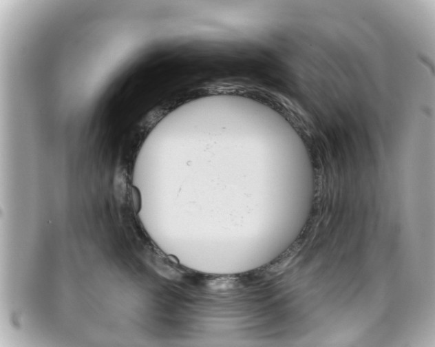 X0000096450761200801241140