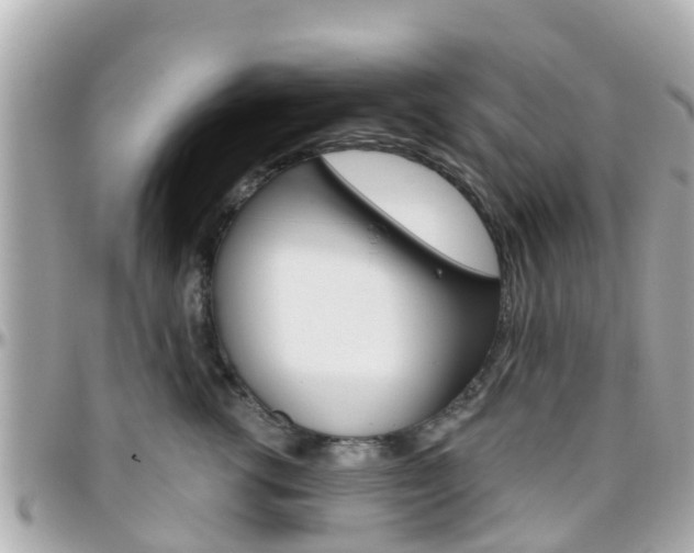 X0000096450762200801241140