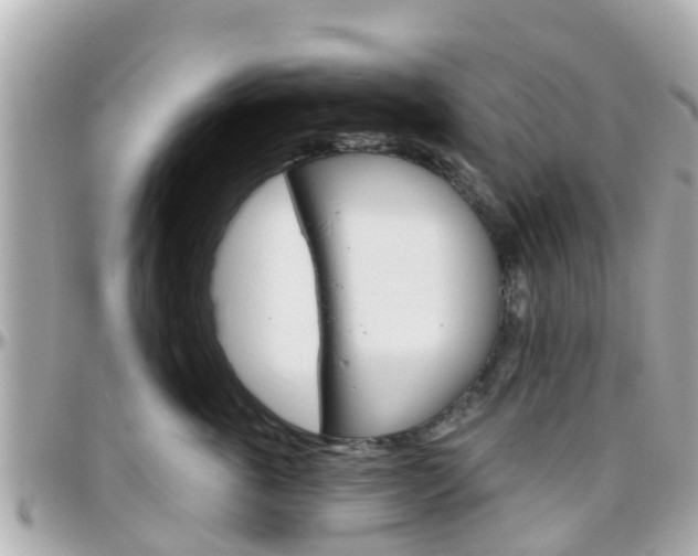 X0000096450763200801241140