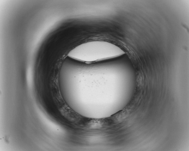 X0000096450764200801241140