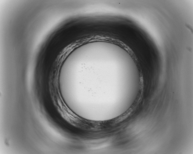 X0000096450765200801241140
