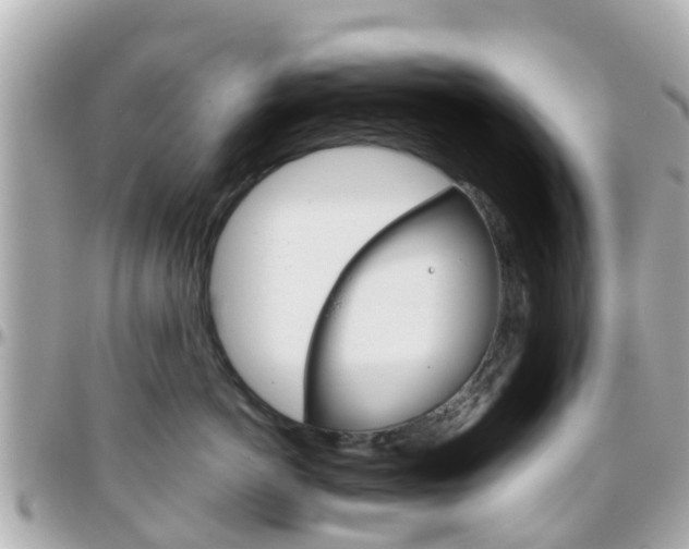 X0000096450766200801241140