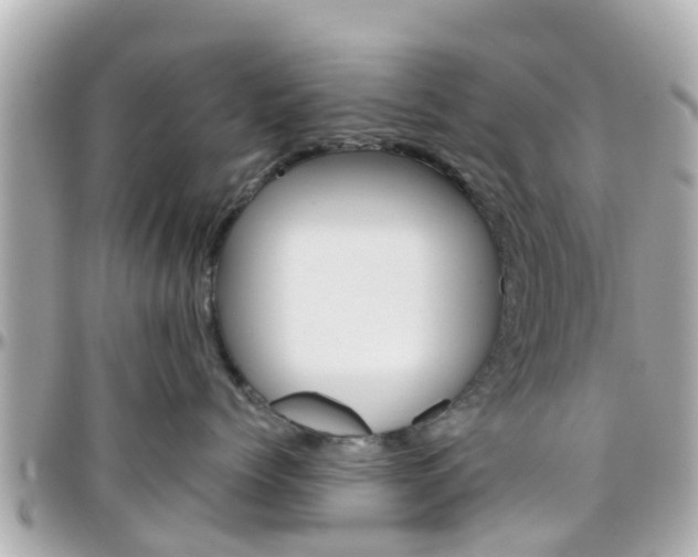 X0000096450768200801241140