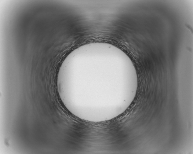 X0000096450769200801241139