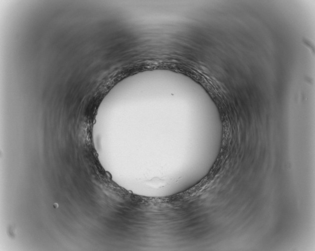 X0000096450770200801241139