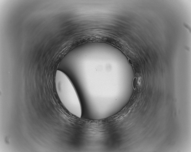 X0000096450771200801241139