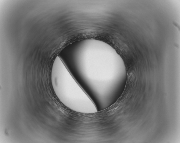 X0000096450772200801241139