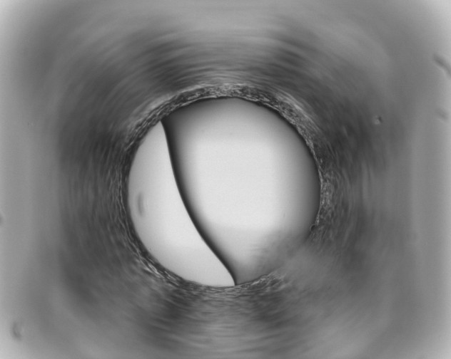 X0000096450773200801241139