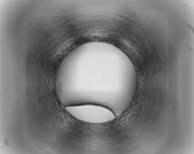 X0000096450774200801241139